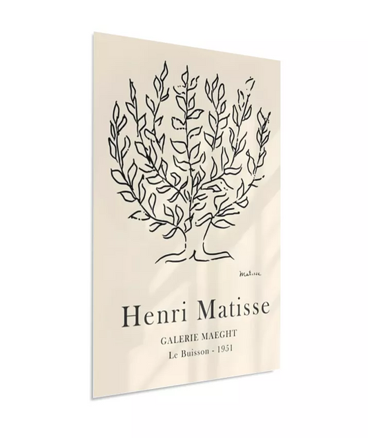 Flores - Matisse