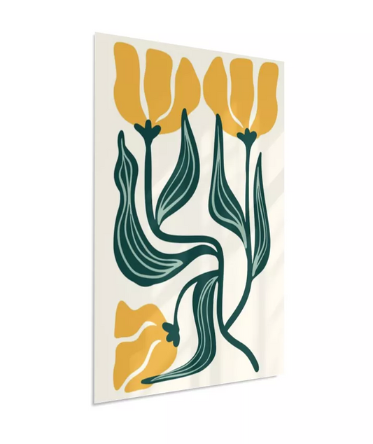 Matisse Pulsar das Cores