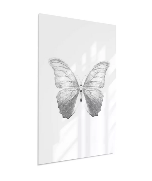 Borboleta