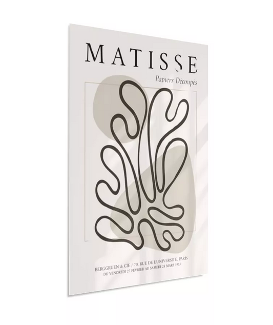 Planta Minimalista - Matisse