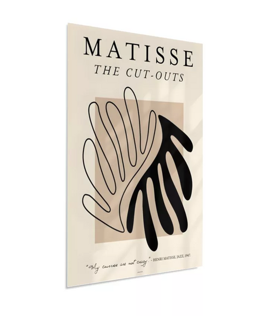"My Curves Are Not Crazy" - Matisse