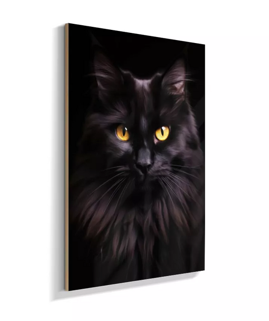 Gato Preto