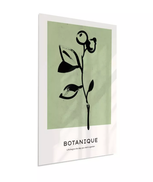 Botanique