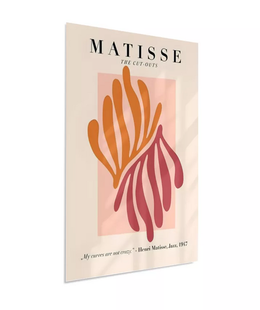 "My Curves Are Not Crazy" - Matisse