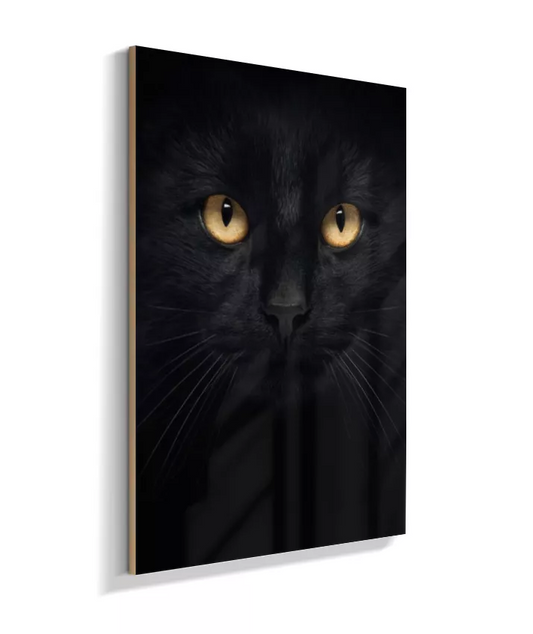 Gato Black